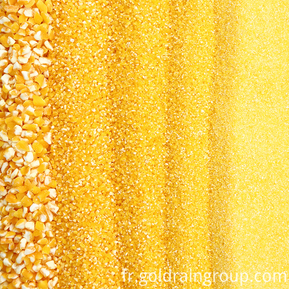 Machine de traitement du maïs Corn-processing-machine